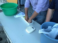 秩父フライフィールド 釣果