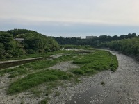 秩父フライフィールド 釣果