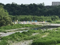 秩父フライフィールド 釣果