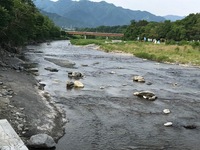 秩父フライフィールド 釣果