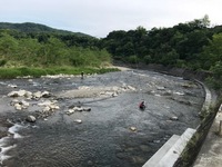 秩父フライフィールド 釣果