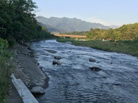 秩父フライフィールド 釣果
