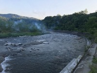 秩父フライフィールド 釣果