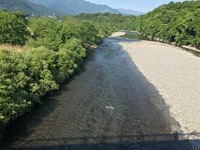 秩父フライフィールド 釣果