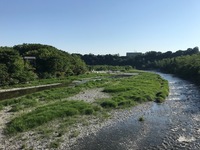 秩父フライフィールド 釣果