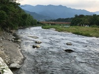 秩父フライフィールド 釣果