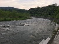 秩父フライフィールド 釣果