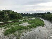 秩父フライフィールド 釣果