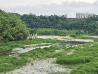 秩父フライフィールド 釣果