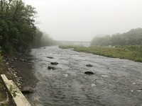 秩父フライフィールド 釣果