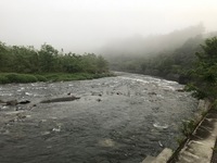 秩父フライフィールド 釣果