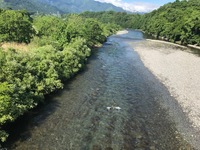 秩父フライフィールド 釣果