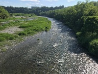 秩父フライフィールド 釣果