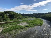 秩父フライフィールド 釣果