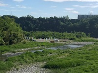 秩父フライフィールド 釣果