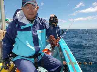 安房丸 釣果