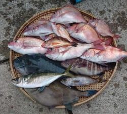 はじめ丸 釣果