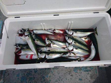 第二明康丸 釣果