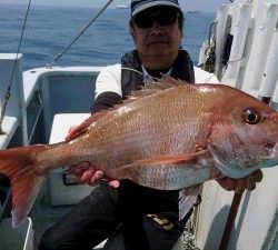 かねい丸 釣果