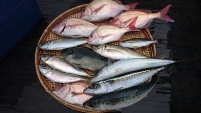 はじめ丸 釣果