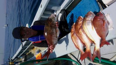 かねい丸 釣果
