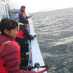 小樽港遊漁船ＳＨＡＫＥ 釣果