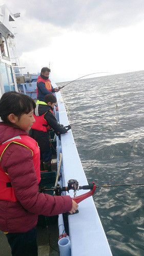 小樽港遊漁船ＳＨＡＫＥ 釣果