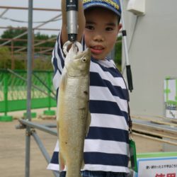 としまえんフィッシングエリア 釣果