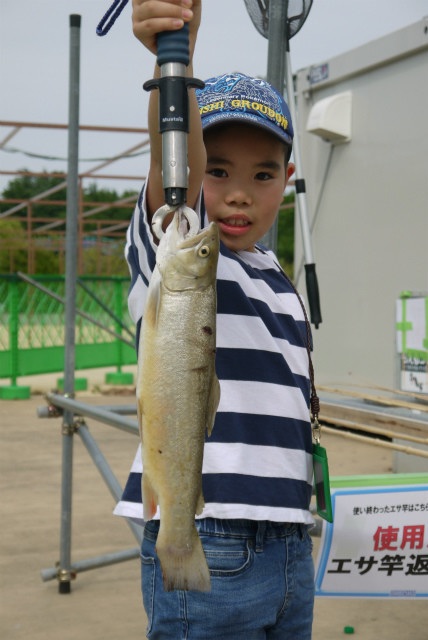 としまえんフィッシングエリア 釣果