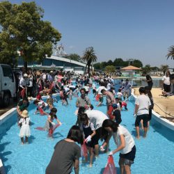 としまえんフィッシングエリア 釣果