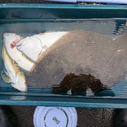 小樽港遊漁船SHAKE 釣果