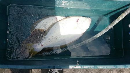 小樽港遊漁船ＳＨＡＫＥ 釣果