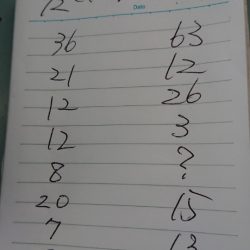 金沢八景鴨下丸 釣果