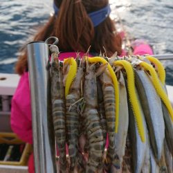 金沢八景鴨下丸 釣果