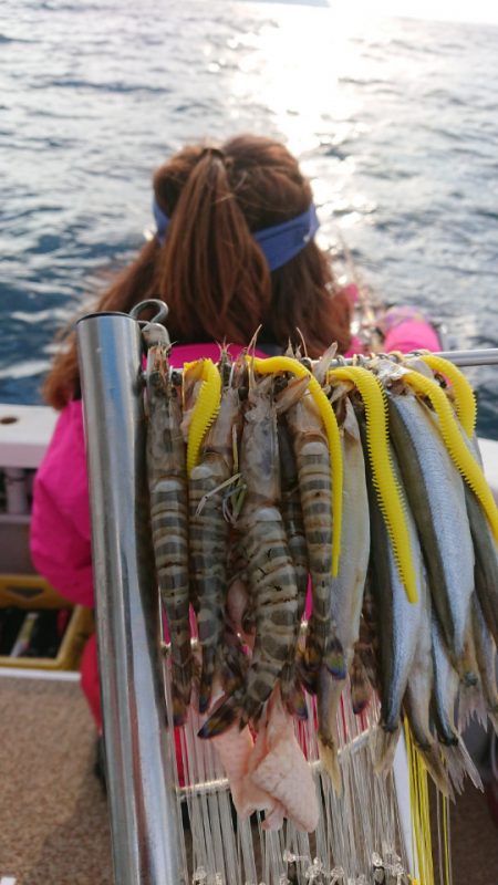 金沢八景鴨下丸 釣果