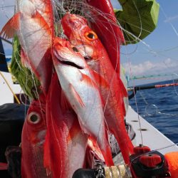 金沢八景鴨下丸 釣果