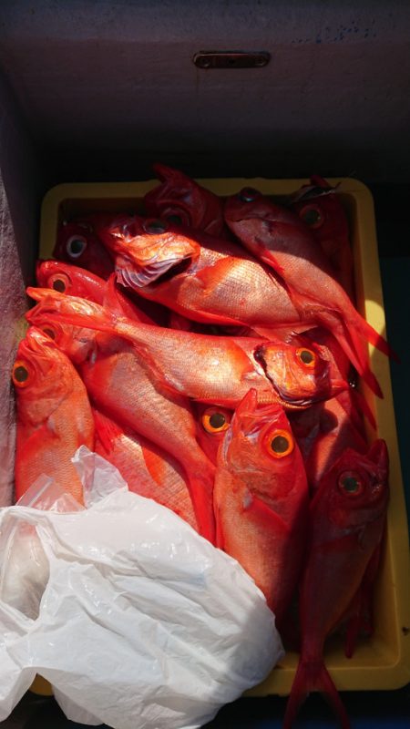 金沢八景鴨下丸 釣果