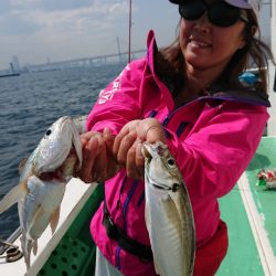 金沢八景鴨下丸 釣果