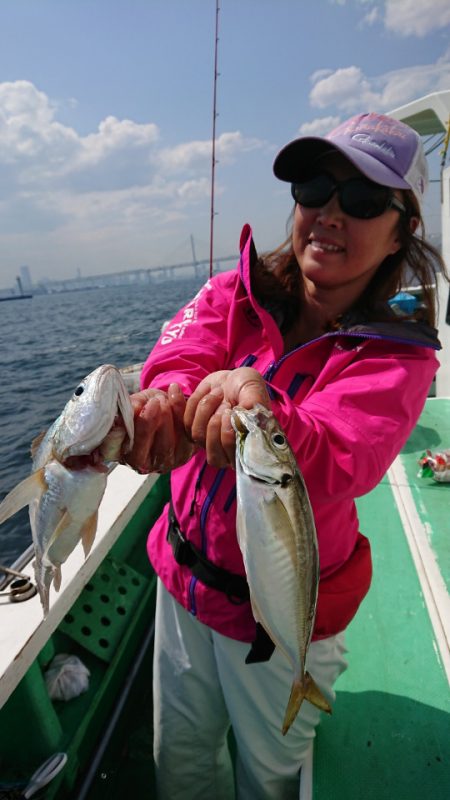 金沢八景鴨下丸 釣果