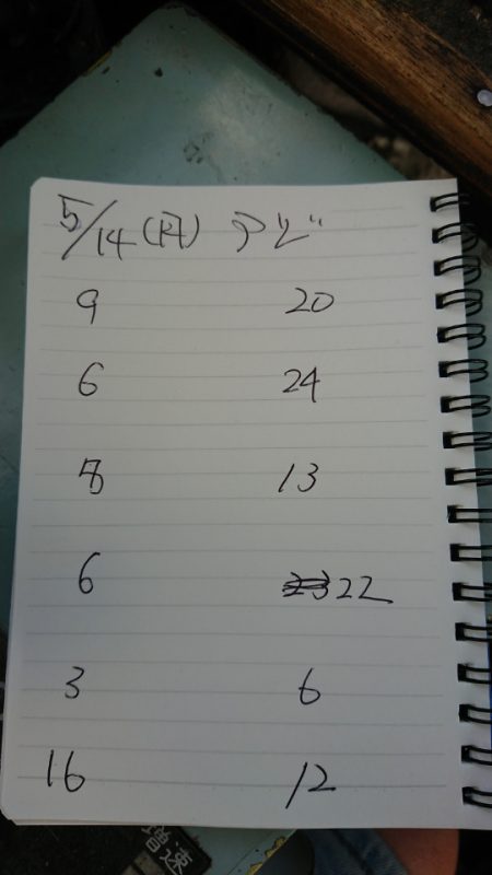 金沢八景鴨下丸 釣果