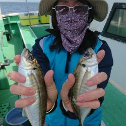 金沢八景鴨下丸 釣果