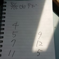 金沢八景鴨下丸 釣果