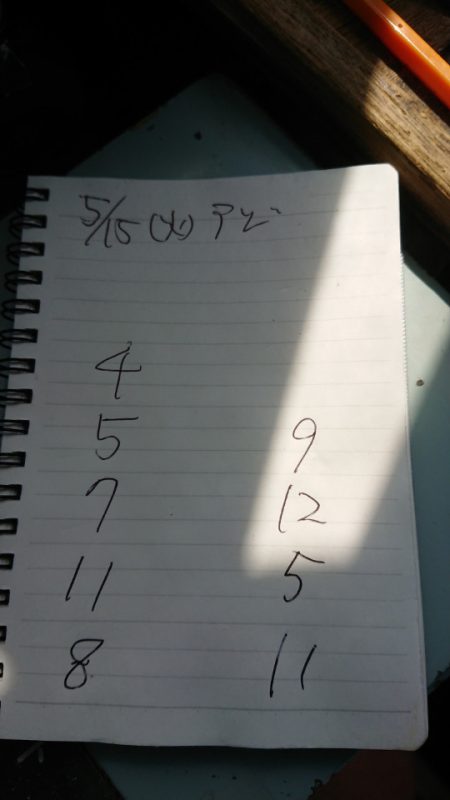 金沢八景鴨下丸 釣果