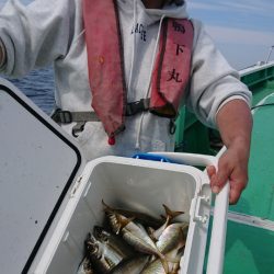 金沢八景鴨下丸 釣果