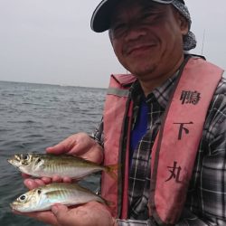 金沢八景鴨下丸 釣果