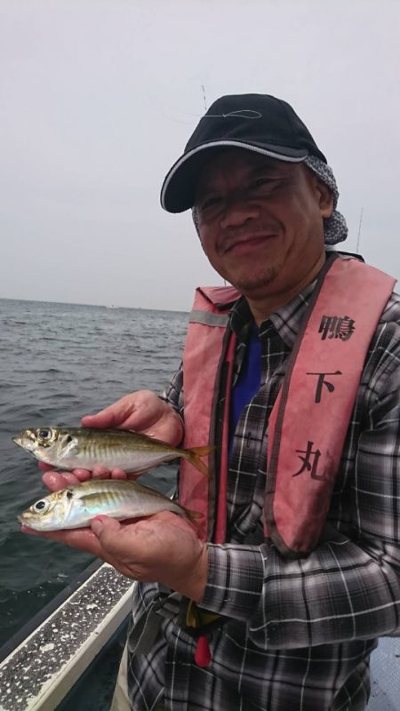 金沢八景鴨下丸 釣果