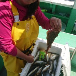 金沢八景鴨下丸 釣果