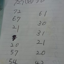 金沢八景鴨下丸 釣果