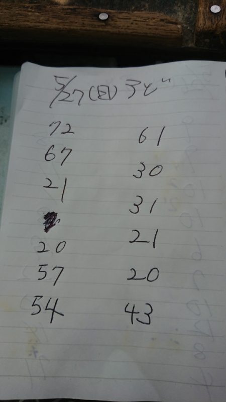 金沢八景鴨下丸 釣果