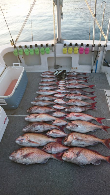 ARCADIAⅡ (アルカディアⅡ) 釣果